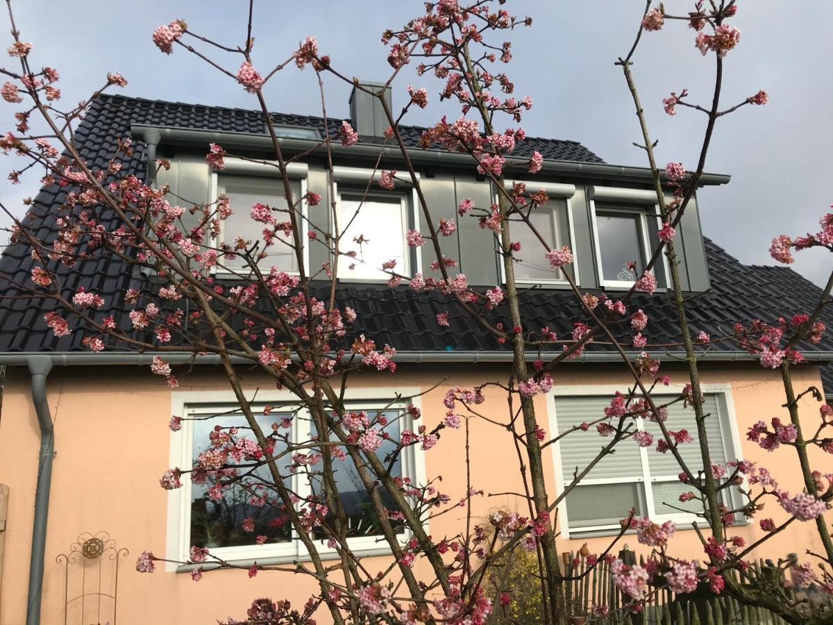 Apartamento Kleine Auszeit Mit Aussicht Velbert Toenisheide Exterior foto
