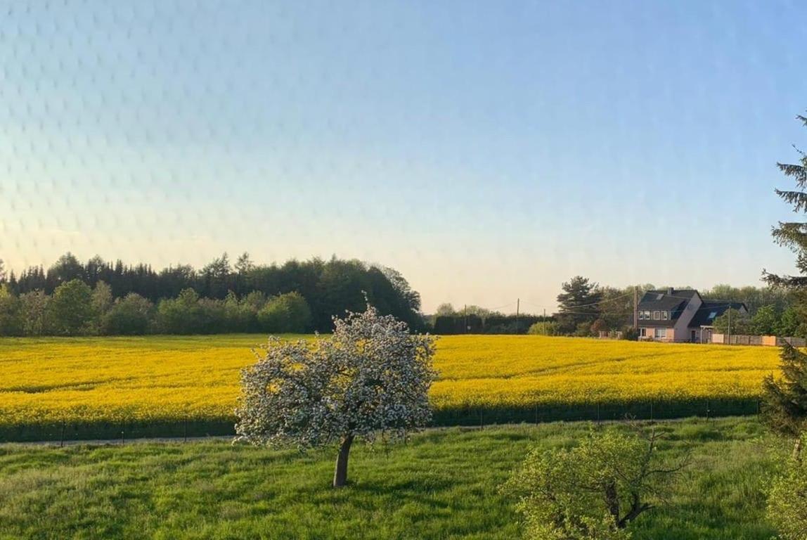 Apartamento Kleine Auszeit Mit Aussicht Velbert Toenisheide Exterior foto